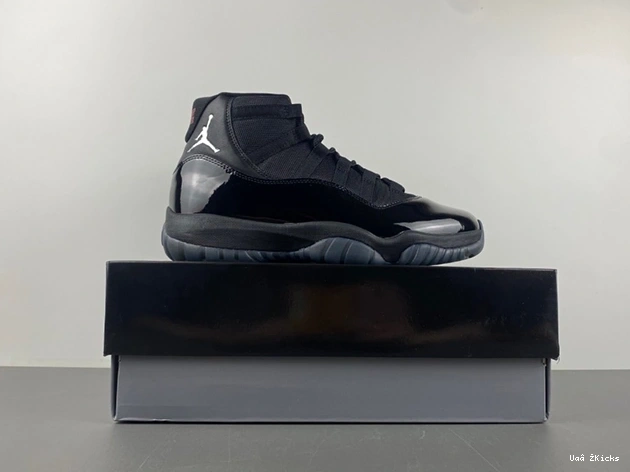 Air Cozy 11 Jordan 670 1822 378037 - 0723